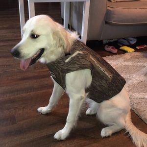 Meet your Posher, Colin